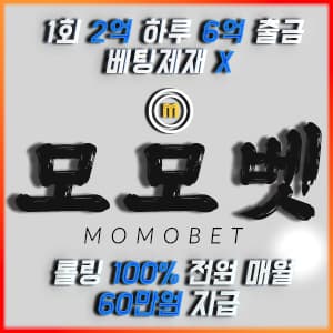 모모벳 토토 사진